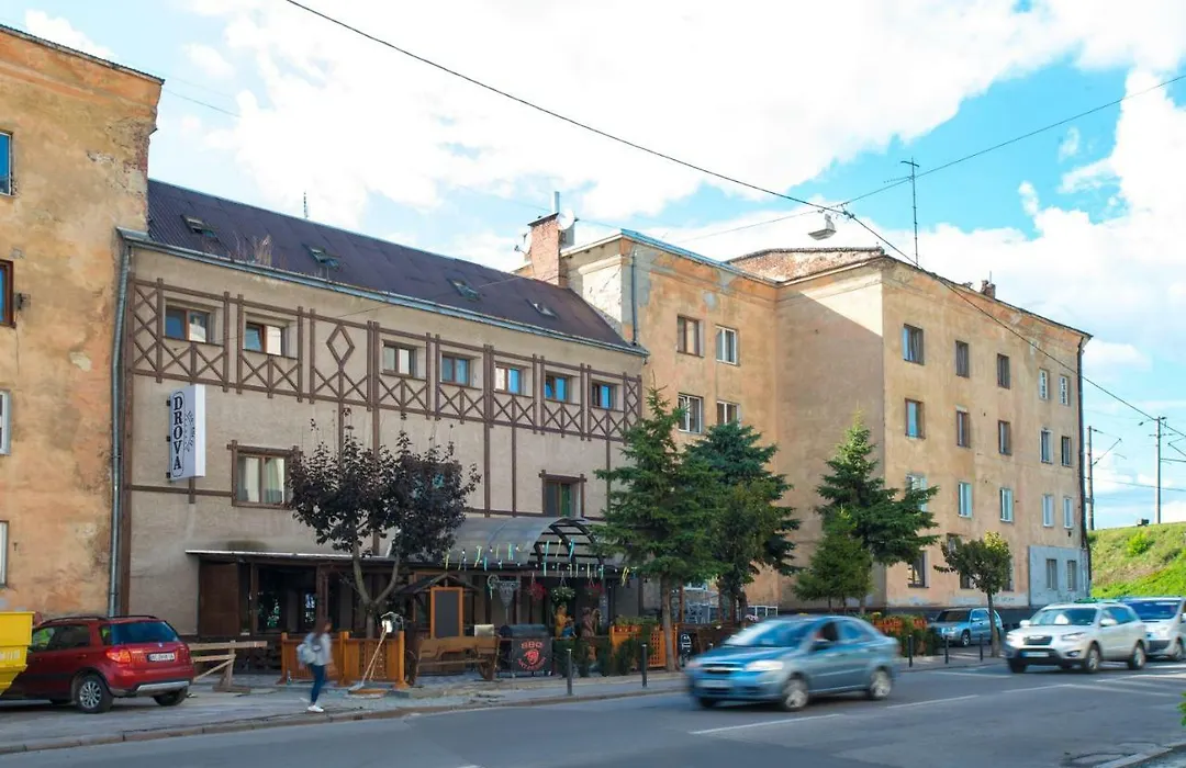 Eco Hostel Drova-1